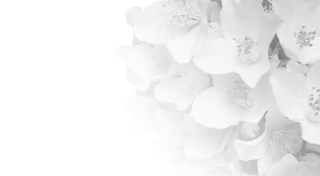 авторские букеты